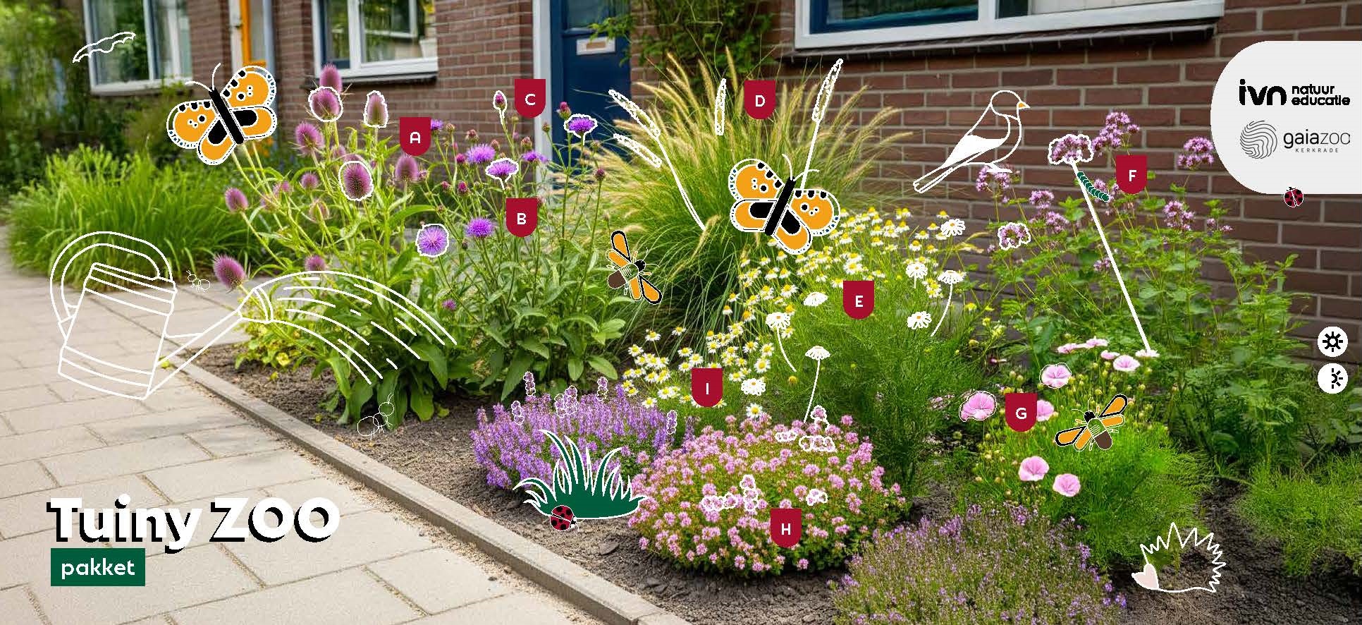 A little garden with the blooming flowers from the Tuiny ZOO package for sun and semi-sun. Embellished with illustrations of the animals attracted to the flowers. It also features the logos of IVN and Gaia ZOO.   