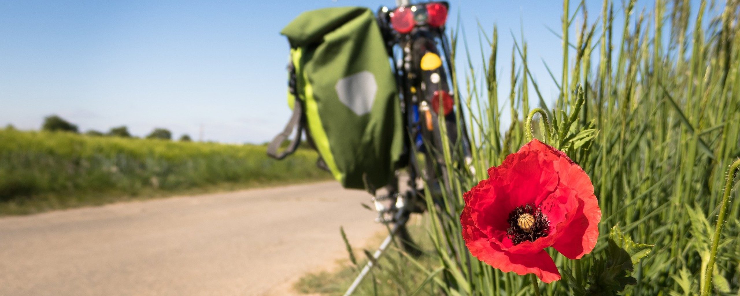 Op de voorgrond een rode klaproos in bloei. Op de achtergrond een weg met in de berm een geparkeerde fiets. Aan de fiets hangt een groene fietstas. Het weer is zonnig en de hemel helder blauw.