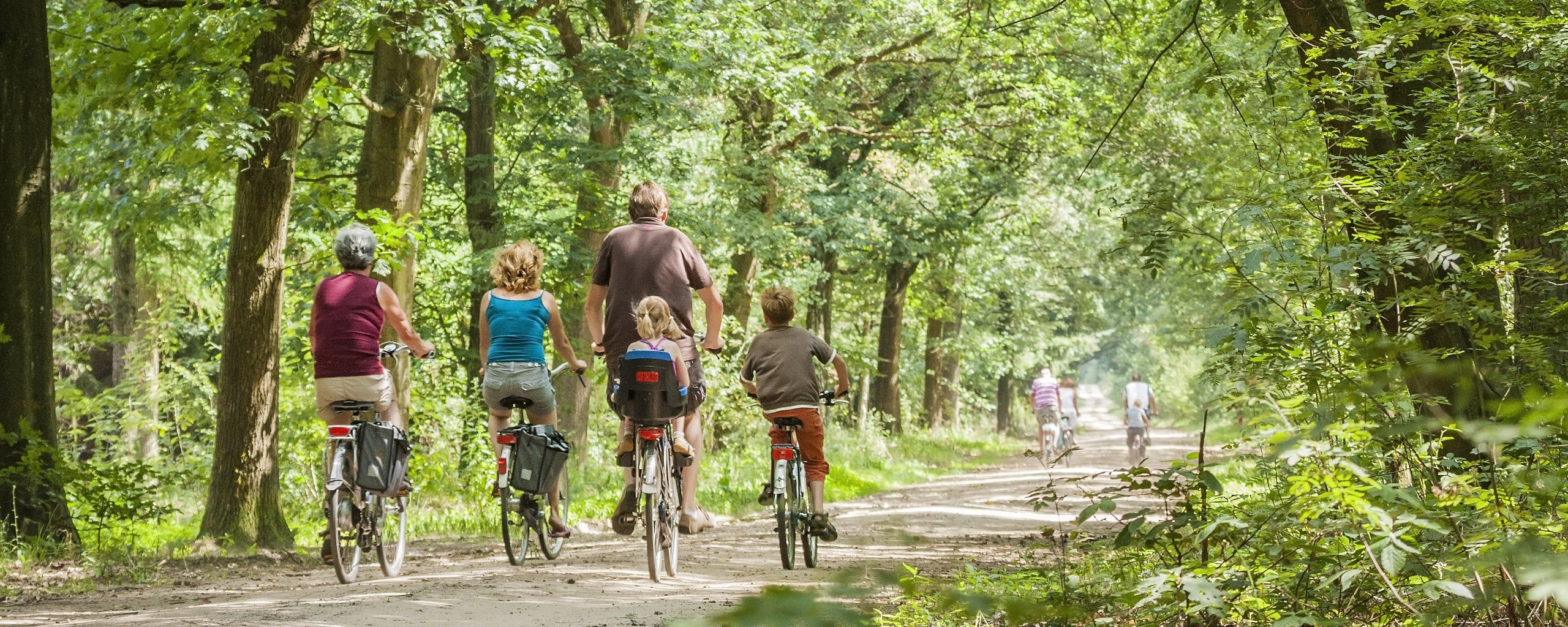 We zien een fietspad middenin een zeer groene, bosrijke omgeving: in Nationaal Park De Meinweg. Op het fietspad zien we de achterkant van 4 mensen op een fiets. Bij één van de fietsers zit een kind achterop in een kinderstoeltje.