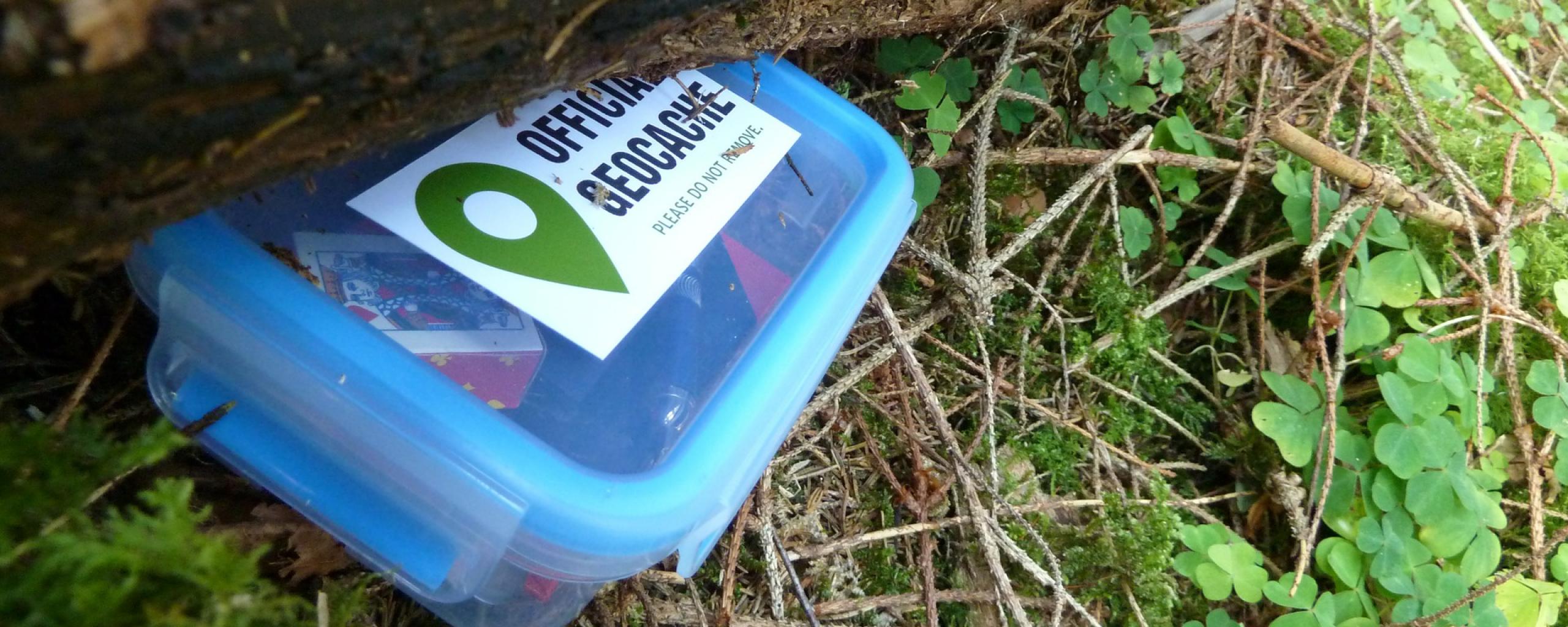 Een plastic doosje met daarop een sticker met de tekst 'Official Geocache'. Het doosje ligt deels verstopt onder een boomstam en rondom het doosje zien we klavertjes en takken.