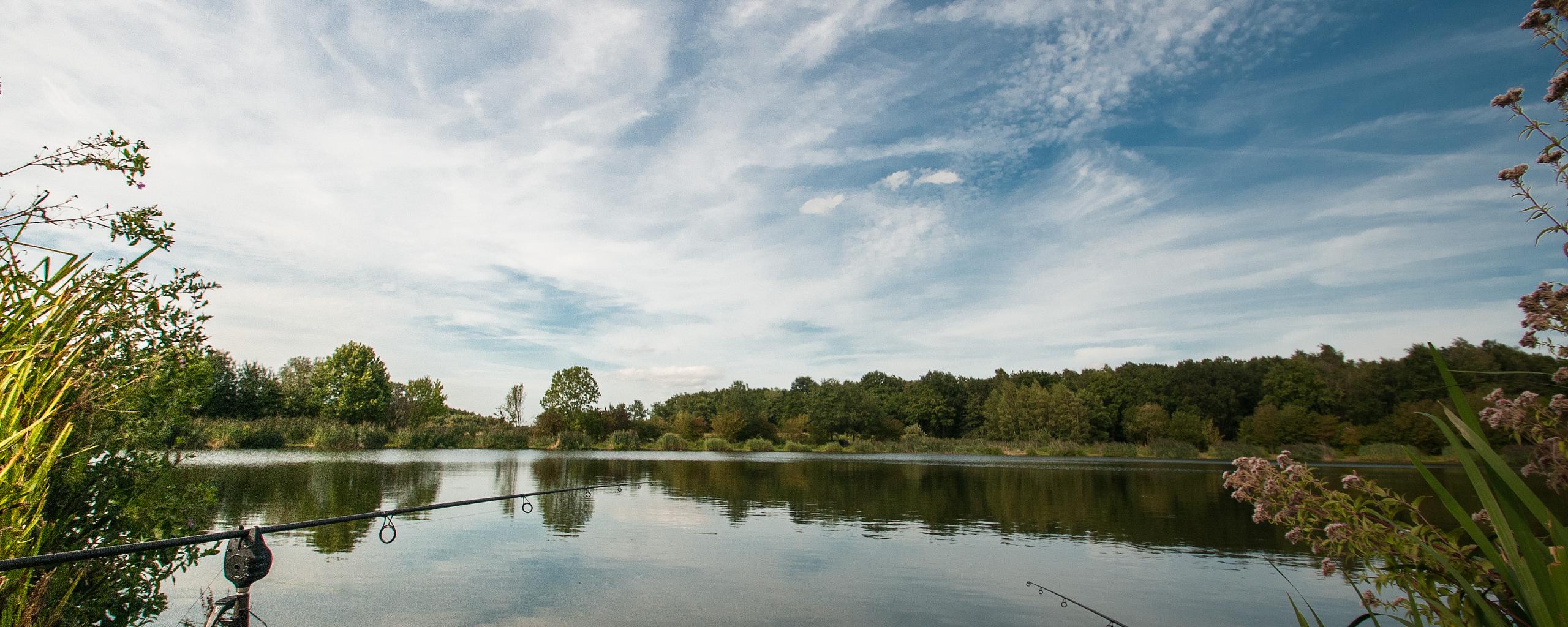 We zien een panorama-landschap met op de voorgrond tot aan de horizon water: visvijver de groene beek. op de voorgrond zien we twee vishengels. Op de horizon zien we bomen. De lucht is blauw en er is lichte sluierbewolking te zien.