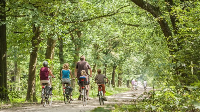 We zien een fietspad middenin een zeer groene, bosrijke omgeving: in Nationaal Park De Meinweg. Op het fietspad zien we de achterkant van 4 mensen op een fiets. Bij één van de fietsers zit een kind achterop in een kinderstoeltje.
