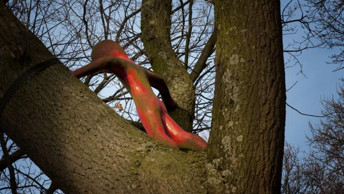 We zien een boom met op een dikke tak een kunstwerk. Het werk is een abstracte weergave van een mens. Het beeld is rood van kleur en heeft enkele vlekken van mos.