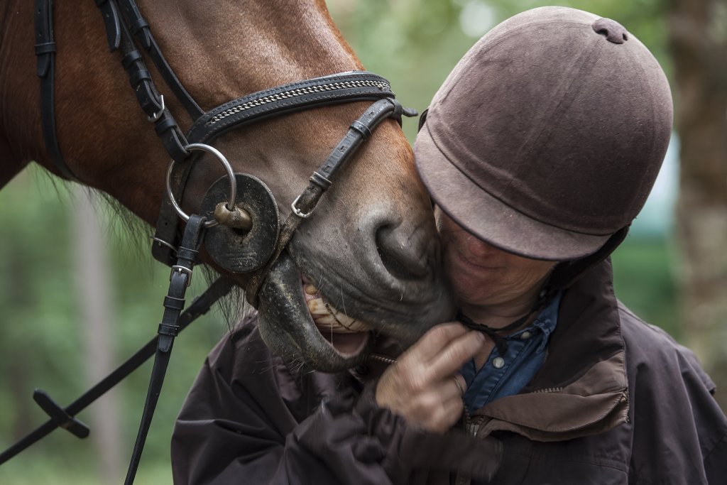 Een ruiter knuffelt haar paard.