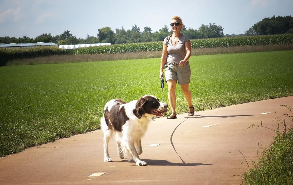 Een vrouw wandelt met een aangelijnde zwart wit gevlekte hond over een fietspad tussen de velden. 