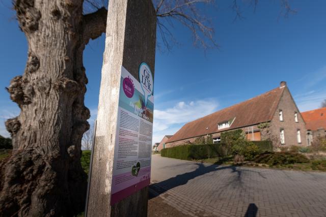 Het geluksbord staat naast een mooie oude boom. De lucht is stralend blauw en we zien een mooie oude woning op de achtergrond. 