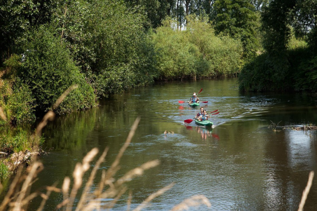 We zien de Roer met daarop twee groene kano's. In elke kano zitten twee personen die we met rode roespanen over het water zien varen. De omgeving is bosrijk en zonnig.