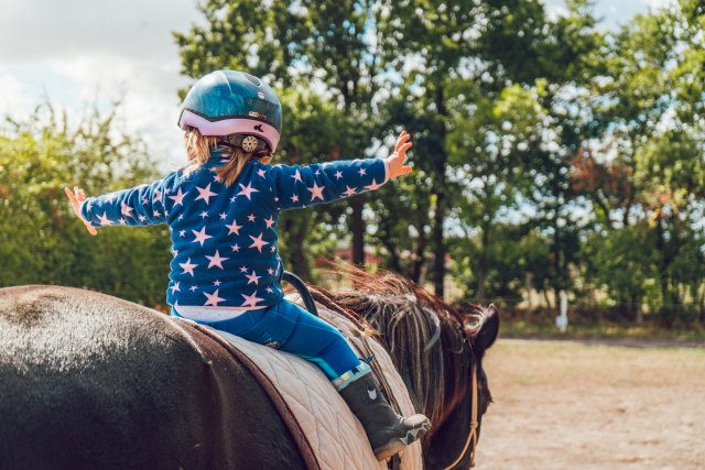 We zien een meisje van de achterkant met een blauwe helm en blauwe trui met roze sterren. Ze zit op een bruin paard dat we ook van de achterkant zien.