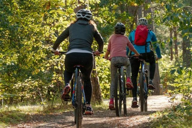Een groep van drie mensen op een mountainbike. Ze dragen alle drie een helm en een persoon draagt een rugtas. De middelste fietser is een kind. De groep fietst op een zandpad door het bos en we zien hun achterkanten.