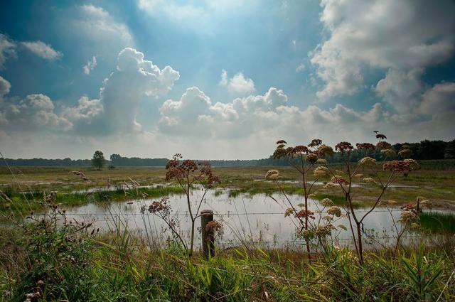 Een mooi zicht op een meer bij het Broek met een mooie wolkenlucht