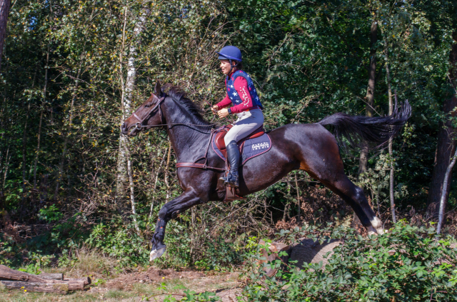 Een ruiter op een bruin paard. Het paard springt over een hindernis heen.