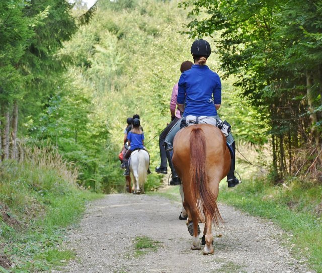 Ruiters te paard op een bospad, gezien vanaf de achterkant