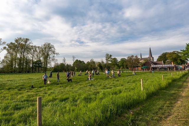 Een weiland met op de achtergrond een kerk. In het weiland zien we mensen bezig met stokken en ballen. Ze zijn aan het boerengolfen.