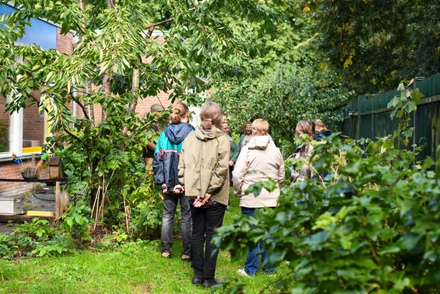 Moestuinieren