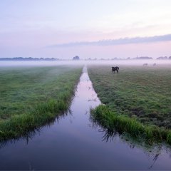 Hoogheemraadschap controleert sloten in Koggenland