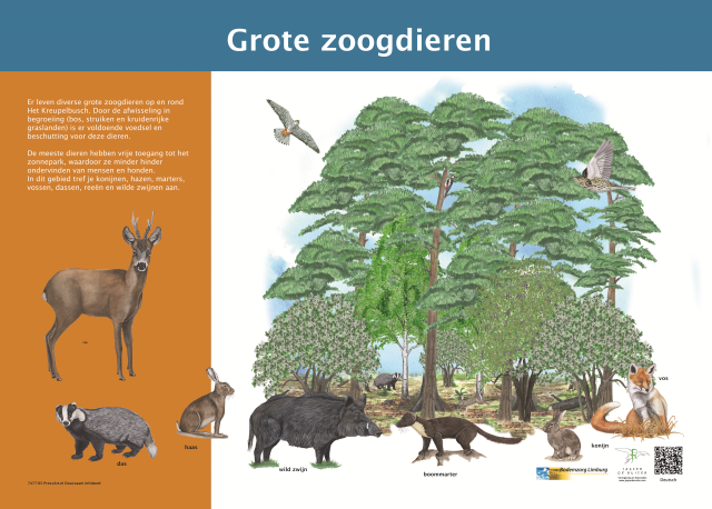 informatiebord met een illustratie van grote zoogdieren onder andere een hert en zwijn bij een boom met verklarende tekst ernaast. 
