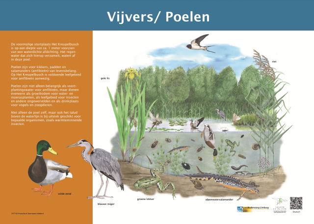 Informatiebord met informatie over de flora en fauna in de vijvers en poelen in het gebied. 