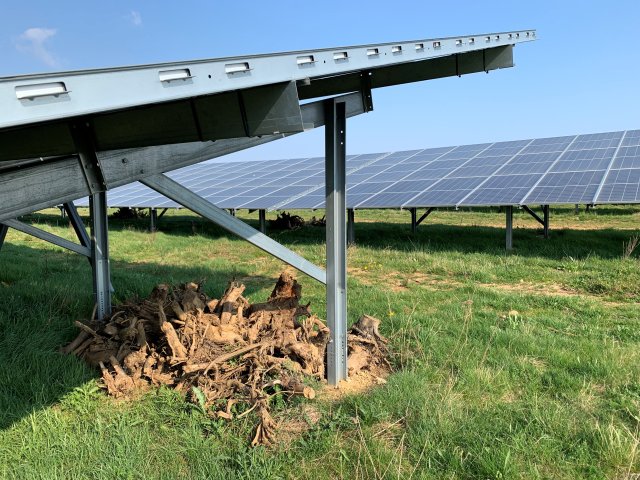 Zonnepanelen in het gras met een takkenwal eronder voor insecten en andere beestjes