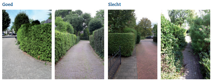 Afbeelding met voorbeelden van goed gesnoeide heggen en voorbeelden van een heg die op de stoep staat en een niet-gesnoeide heg die een voetpad blokkeert.