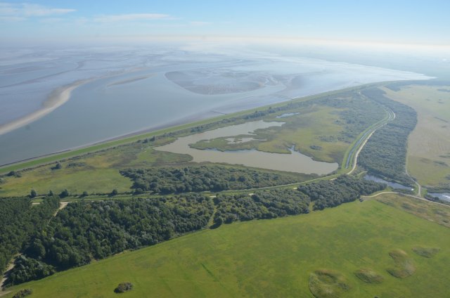 foto vanuit de lucht genomen van de Marnewaard, de plek waar het getijdengebied komt