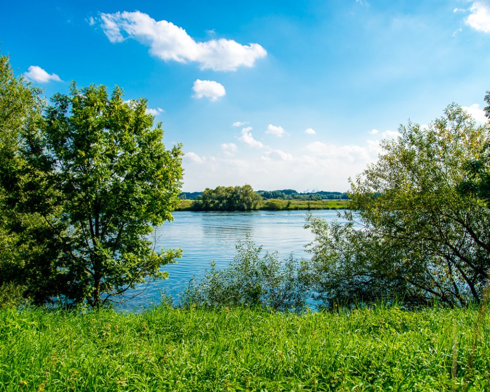 uitzicht over de maas bij buggenum