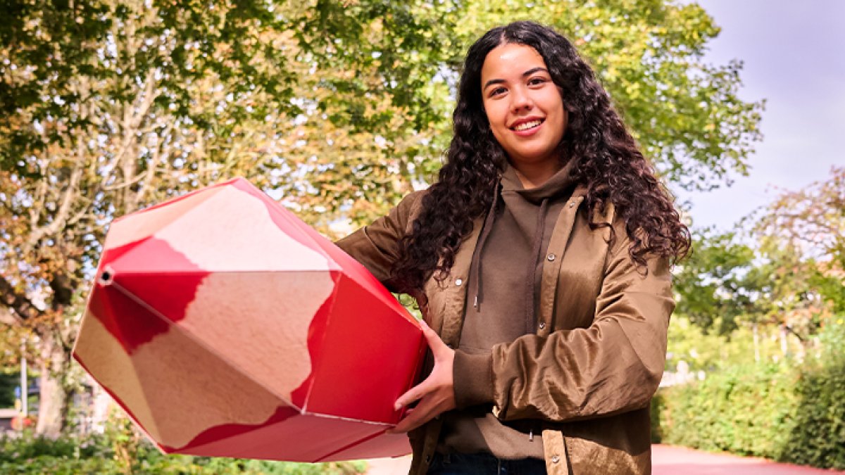 Verkiezingen gemeenteraad 2026