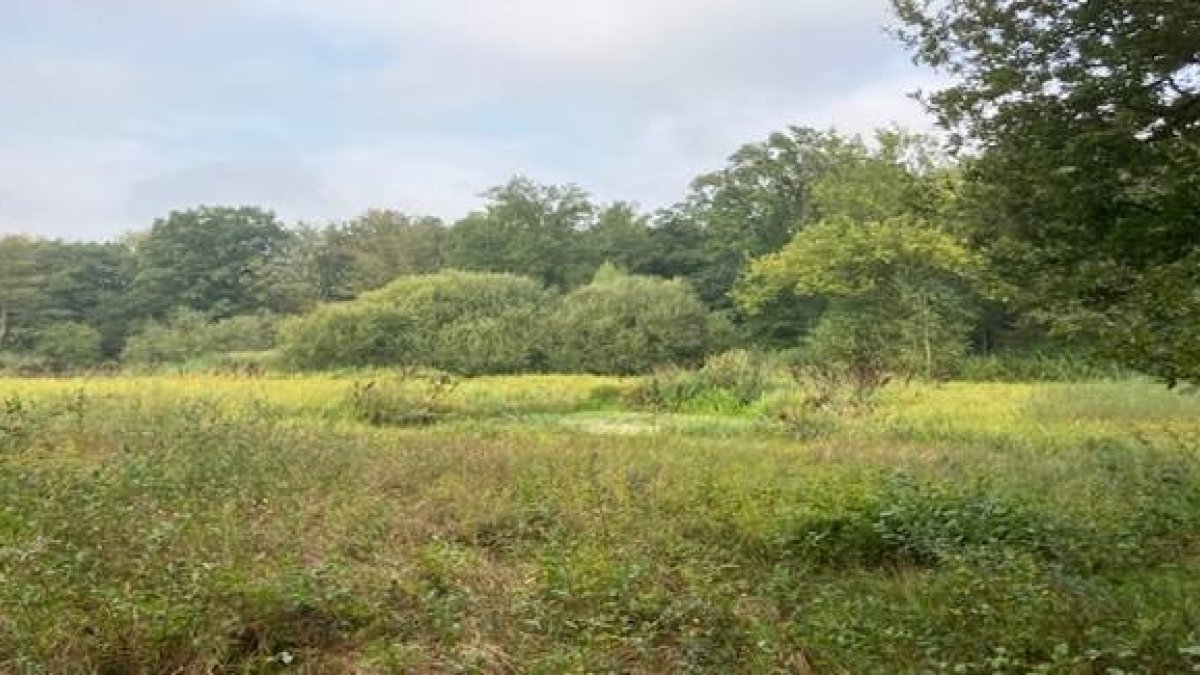 Uitnodiging excursie Heijkersbroek