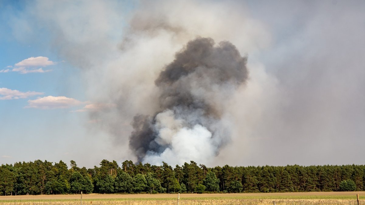 Natuurbrand Venneweg Kessel