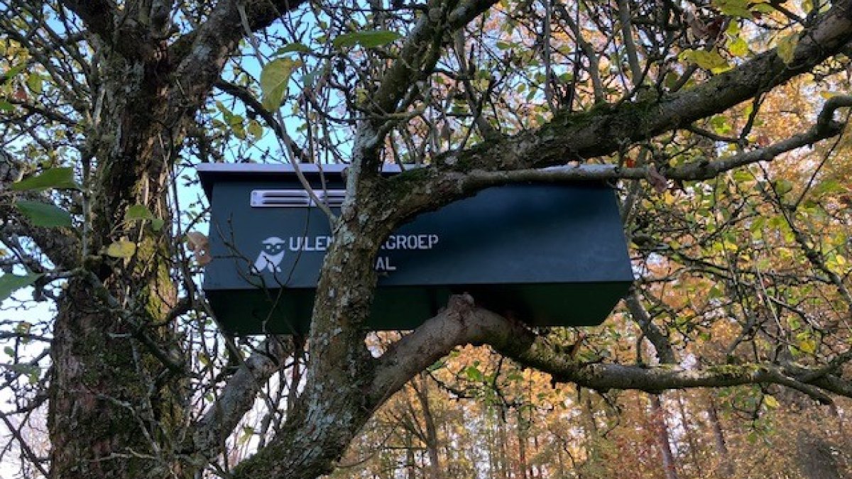 Uilenkasten in gebruik genomen door MOB en uilenwerkgroep Leudal