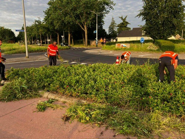 Medewerker van het mensontwikkelbedrijf snoeien de heg