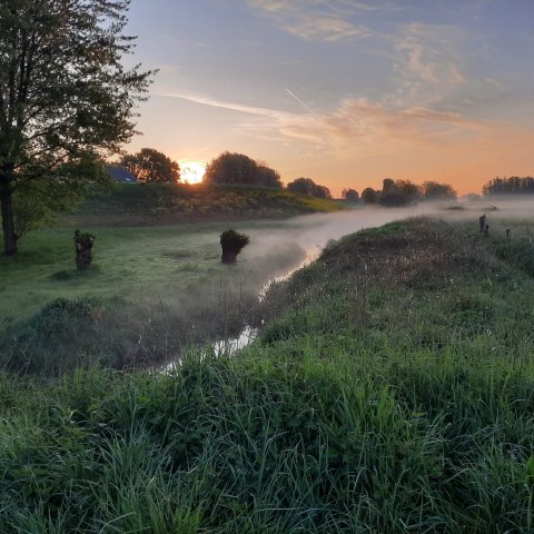 Foto van de polder in Bemmel, net achter de dijk ter hoogte van de Molenwei