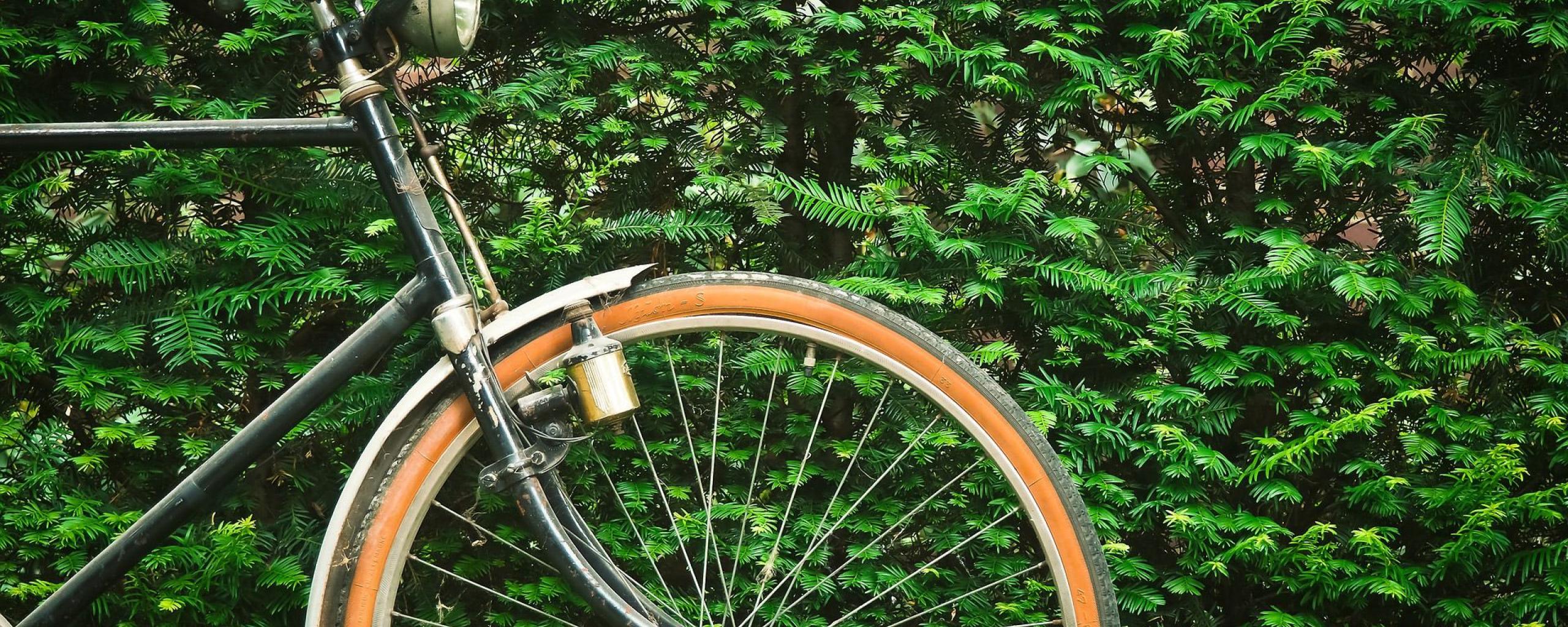 afbeelding van fiets