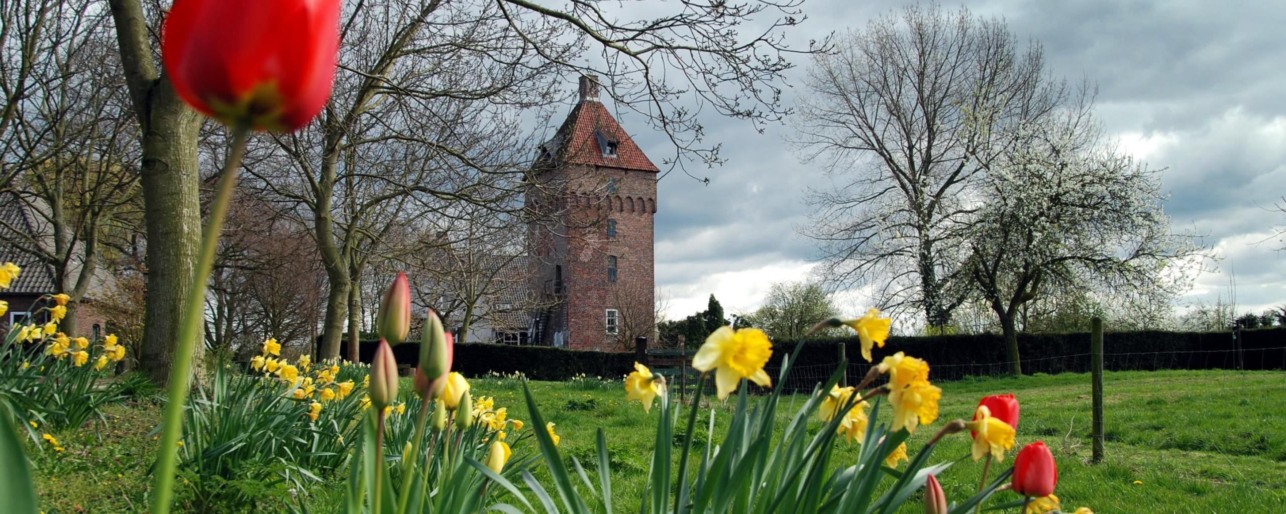 Foto van kasteel Poelwijk