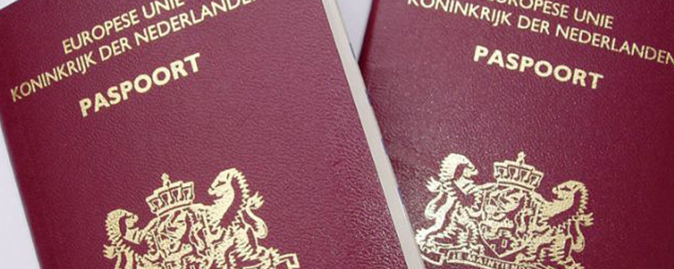 litteken vooroordeel Alternatief Paspoort, ID-kaart, rijbewijs, uittreksels | Gemeente Lingewaard