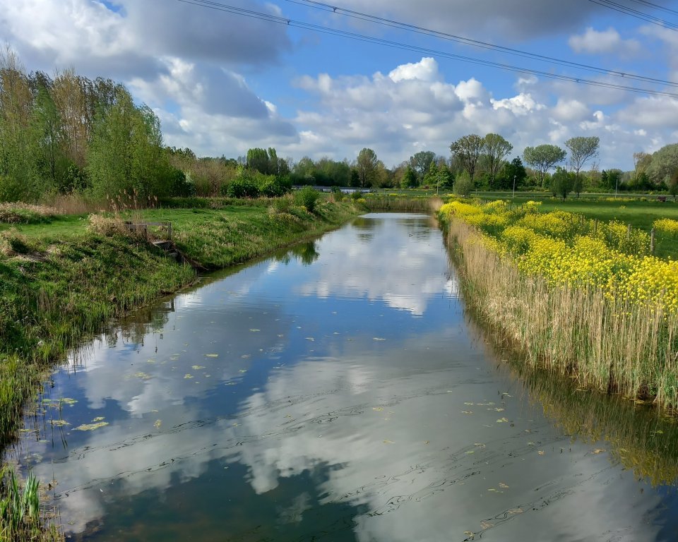 Winnende foto van de maand april van Kiek Lingewaard! Op de foto staat een prachtige combinatie van water en groen. De foto is gemaakt vanaf de brug bij het wandelpad langs de Betuwelijn. 