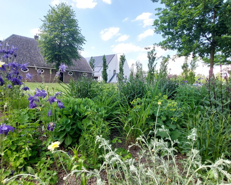 Foto ter illustratie. 