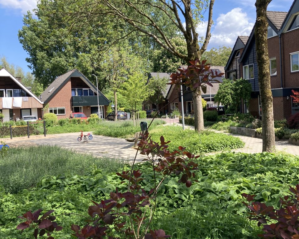 Foto van groen in onze gemeente. Foto ter illustratie. 