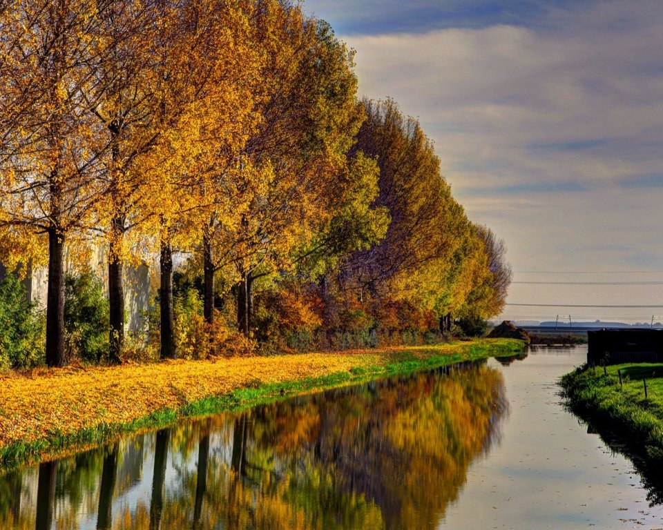 Foto van bomen met herfstkleuren in Lingewaard. Foto ter illustratie.