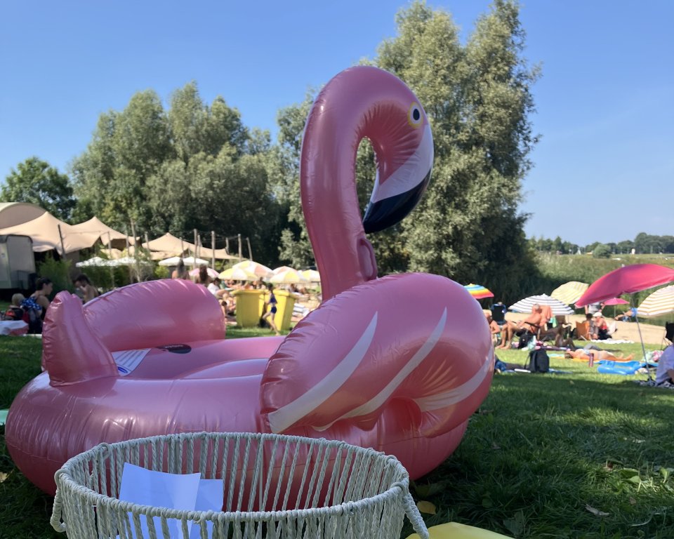 Foto van de roze flamingo, foto ter illustratie.