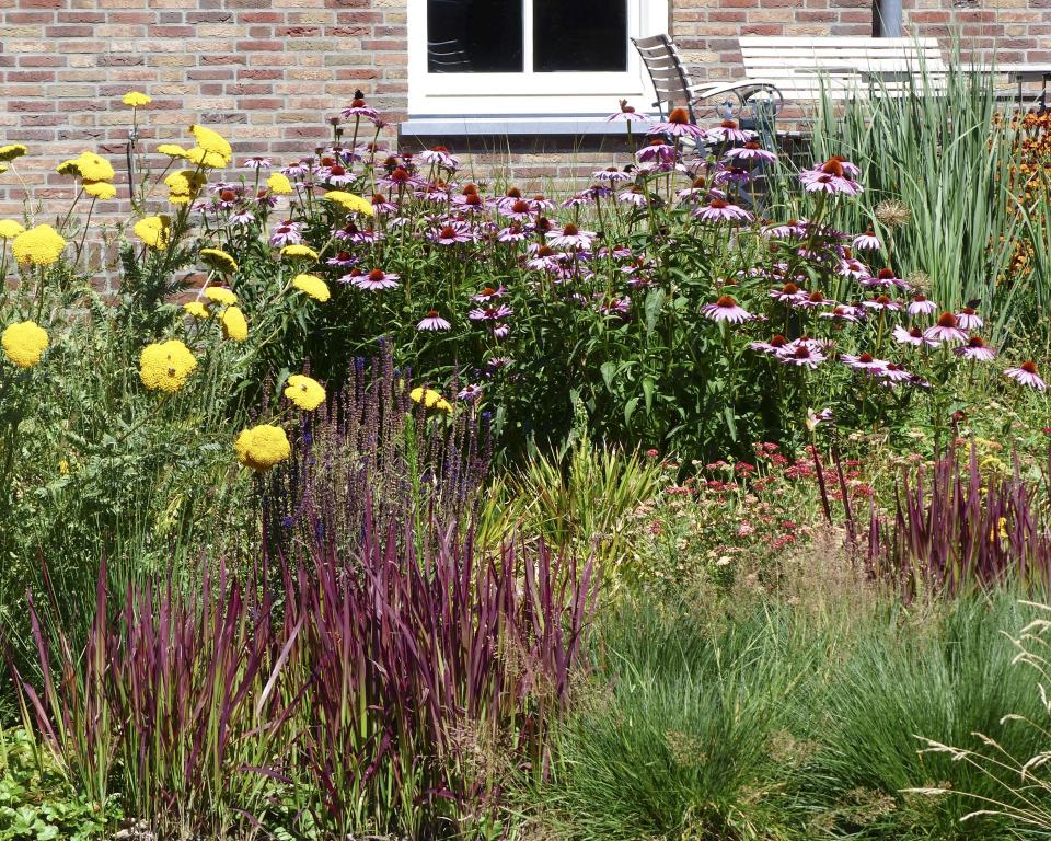 Foto van bloemen en planten in de tuin