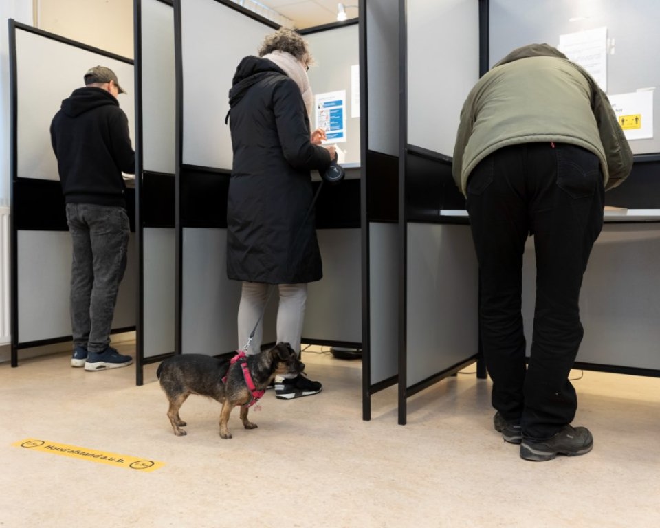Foto ter illustratie.
