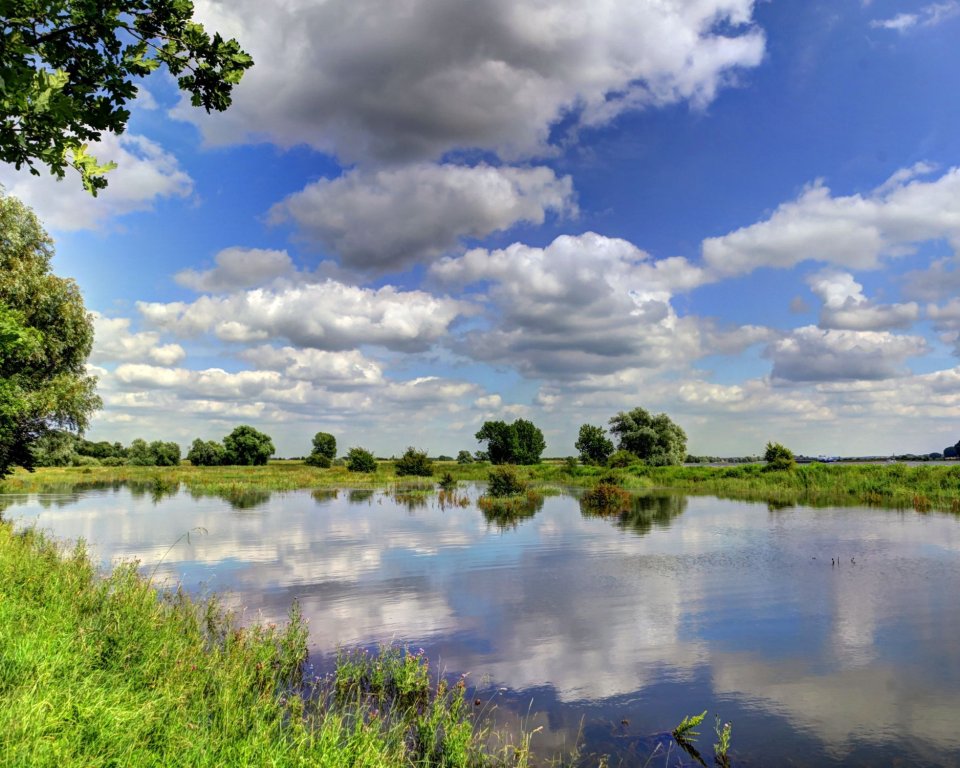 Afbeelding van natuurgebied Vlote Bloem in Lingewaard. Foto ter illustratie.