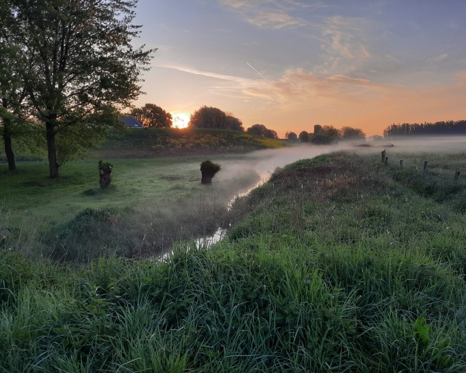Foto van de polder in Bemmel, net achter de dijk ter hoogte van de Molenwei