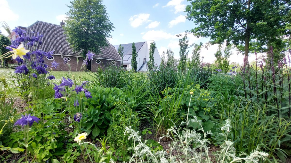 Programma LNB vastgesteld