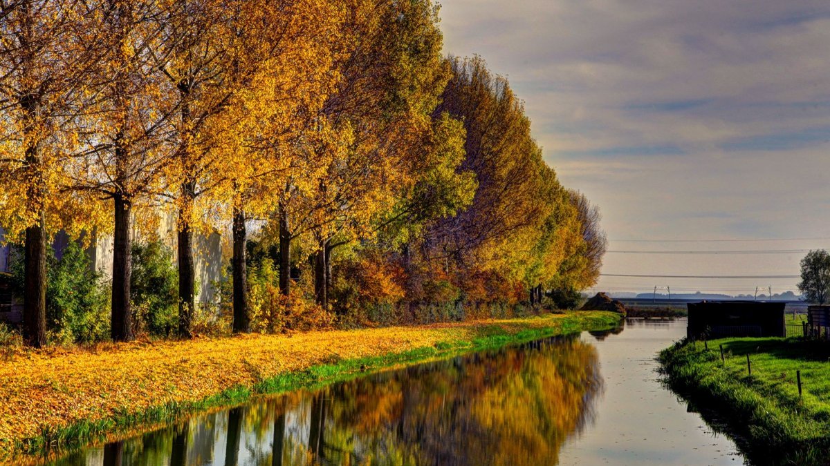 Kiek! Lingewaard: de herfst in beeld