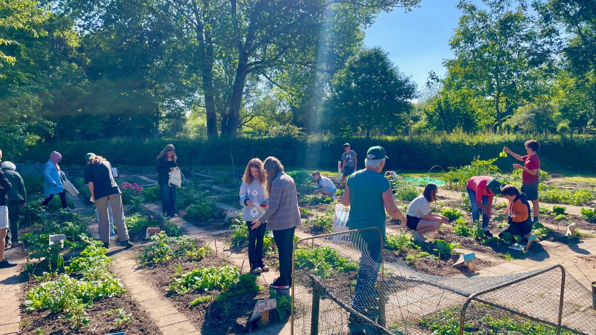 Enthousiaste aftrap Week van de Schooltuin