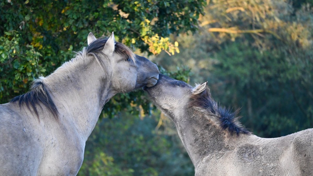 Wat een liefdevolle foto!