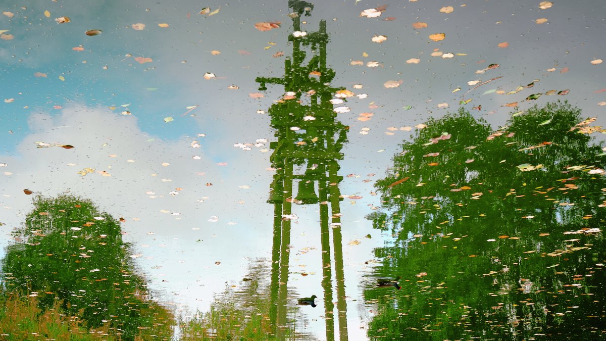 Kiek! Winnaar van de fotowedstrijd van november bekend