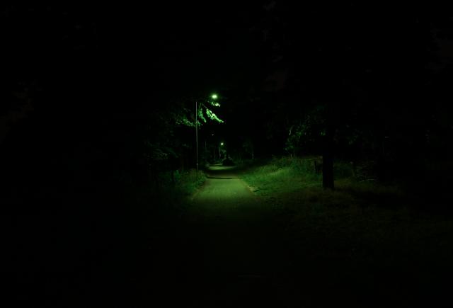 Donkere weg met groene verlichting