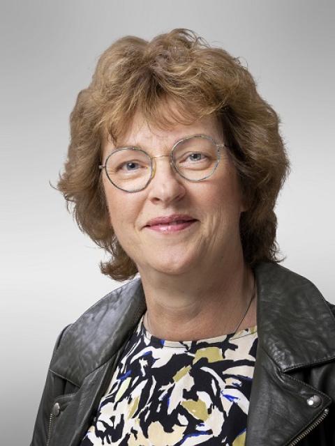 Connie Hogendoorn-van Wijngaarden, CDA